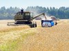 Уборка урожая на 31.09.2016 года