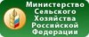 Благодарность в 2017 году.