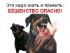 Бешенство - неизлечимая болезнь животных и человека!