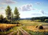 Все мы родом из деревни