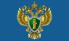 Нижегородская межрайонная природоохранная прокуратура, итоги работы.