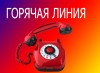 В майские праздники в Управлении Роспотребнадзора будет работать «горячая» линия по профилактике клещевого энцефалита