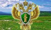 Итоги работы