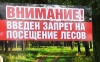 Информация о запрете на посещение лесов в пожароопасный период