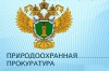 Нижегородская межрайонная природоохранная прокуратура разъясняет