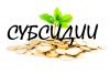 Предоставление субсидии.