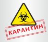 О введении на территории села Дивеево (карантина)